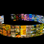 3D Photo Ring HD, un’innovativa applicazione per visualizzare immagini