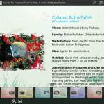 Guide To Tropical Marine Fish 3, il terzo volume dell’ottima guida ai pesci tropicali