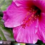 Disponibile su Youtube il primo spot del nuovo iPad