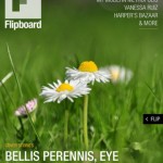 Flipboard 1.8.2 disponibile su App Store