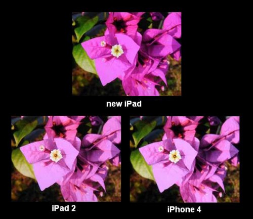 DisplayMate premia la definizione e la saturazione cromatica del display del nuovo iPad