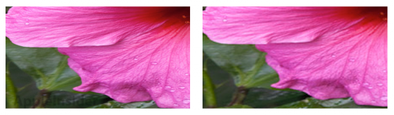 Apple inserisce immagini ad alta definizione sul proprio sito