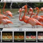 Photogene per iPad si aggiorna: novità per l’editing fotografico