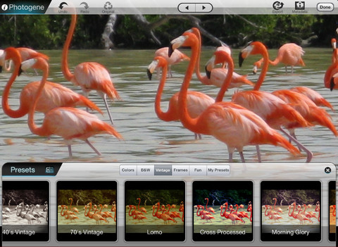 Photogene per iPad si aggiorna: novità per l’editing fotografico