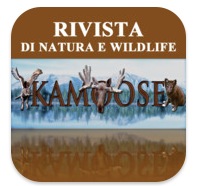 Kamoose, l’app realizzata da fotografi professionisti
