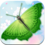 Photo Editor Deluxe Pro, un nuovo software dedicato all’editing fotografico