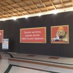 Un nuovo Apple Store sta per sorgere a Lonato del Garda?