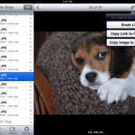 Aggiornamento Dropbox: arriva il supporto all’Italiano