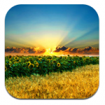 1,000,000 Wallpaper Retina&HD: scarica moltissimi sfondi per iPad in alta definizione