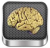 Brain Anatomy l’app che consente di vedere com’è fatto un il cervello umano.