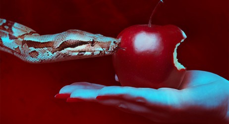 Segretezza in Apple: i dipendenti fanno il punto della situazione