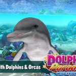 Prenditi cura dei delfini in un nuovo gioco per iPad
