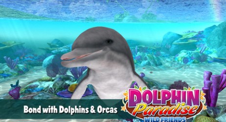 Prenditi cura dei delfini in un nuovo gioco per iPad