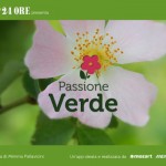Passione-Verde: consigli per il giardinaggio in un’app de “Il Sole 24 Ore”
