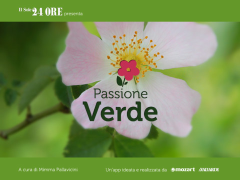 Passione-Verde: consigli per il giardinaggio in un’app de “Il Sole 24 Ore”