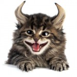 Con Elasticam modifichi le foto distrocendo la realtà