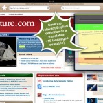 Lingoal, il Web Browser che ti insegna la lingua inglese