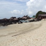 Io dico ciao ciao: 5 codici redeem all’interno! [CODICI UTILIZZATI CORRETTAMENTE]