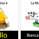 Impara i colori Ed.1: per imparare i colori grazie ad un iPad e agli animali!