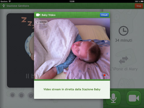 Baby Monitor 3G iPad pic1