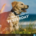 PicLab HD, un’app per personalizzare le tue foto