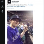 Disponibile un nuovo aggiornamento per l’app ufficiale di Twitter