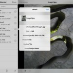 USB Disk Pro: il file manager per il tuo iPad