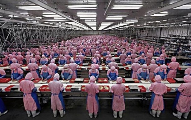 Riconoscimento facciale dei fornitori di Apple: le misure che cercano di tutelare il lavoro minorile