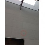 Apple ricorre a dei “nasi elettronici” per combattere il cattivo odore nei suoi store