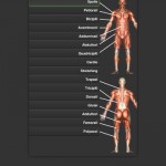 La scheda di allenamento? Sempre disponibile con Fitnessitaly