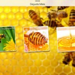 Degusta Miele: consigli per degustare al meglio il miele