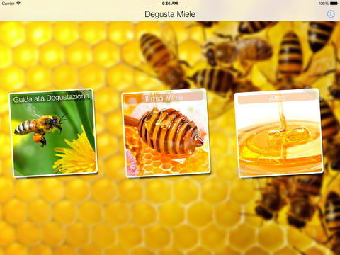 Degusta Miele: consigli per degustare al meglio il miele
