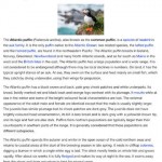 Wikipedia: disponibile un nuovo aggiornamento con rinnovamento del design