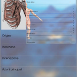 FisioApp, la prima app italiana dedicata alla fisioterapia