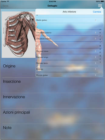 FisioApp, la prima app italiana dedicata alla fisioterapia