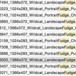 iOS 9 svela la possibile risoluzione dell’iPad Pro