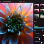 Da oggi puoi usare la Apple Pencil anche su Pixelmator