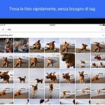 Quick Update: gli aggiornamenti più importanti della settimana