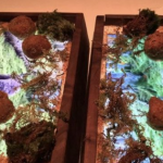 In un ristorante di San Francisco il cibo si serve sugli iPad