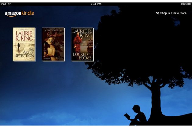 Amazon Kindle, arriva la split view su iPad