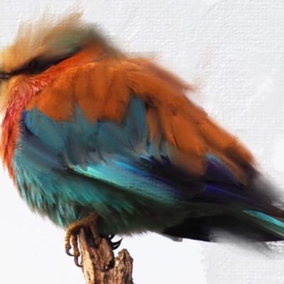 Adobe realizza un bundle con Photoshop e l’app Fresco per iPad